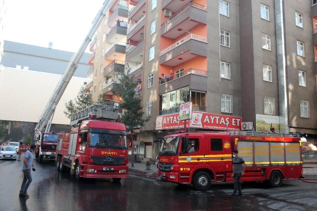 Diyarbakır’da 8 katlı binada yangın, onlarca güvercin telef oldu