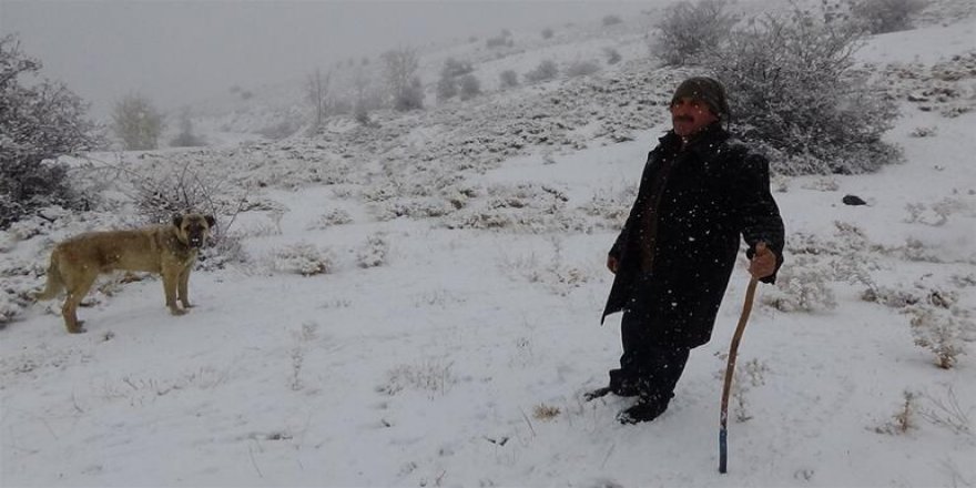 Erzurum ve Ağrı’nın yüksek kesimleri karla kaplandı