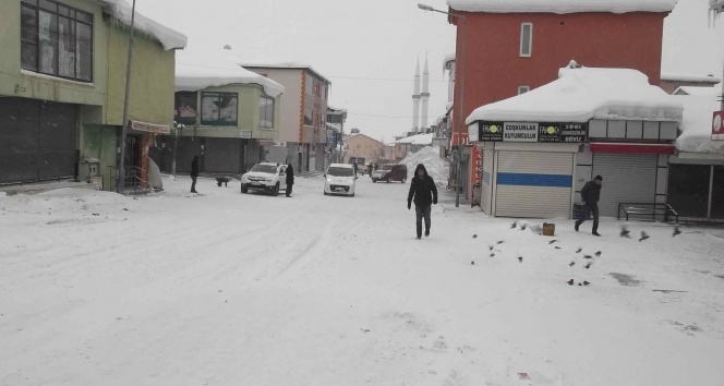 Varto’da yağan yoğun kar yağışı hayatı olumsuz etkiliyor