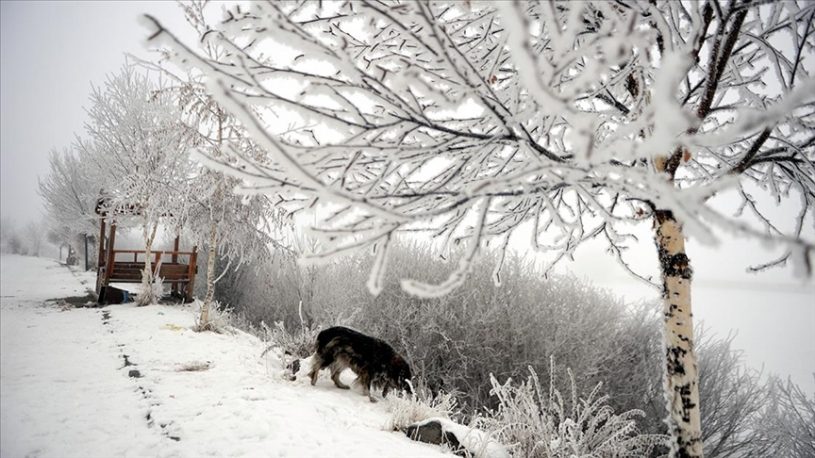 Doğu Anadolu’da gece en düşük hava sıcaklığı Kars’ta ölçüldü