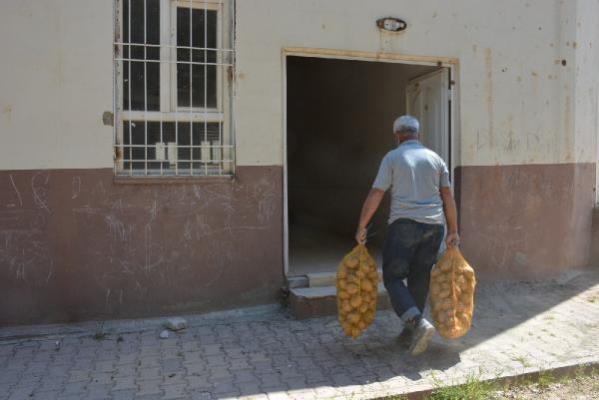 Mardin’de patates dağıtımına başlandı