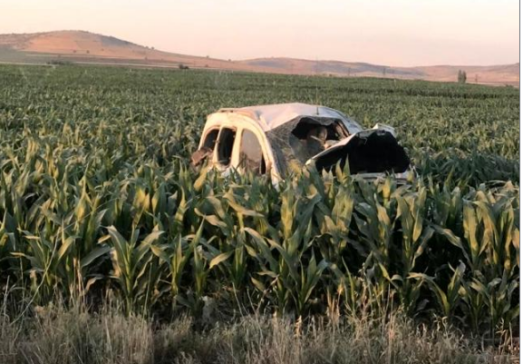 Mardin’de takla atarak mısır tarlasında devrilen araçta 1’i ağır, 4 kişi yaralandı
