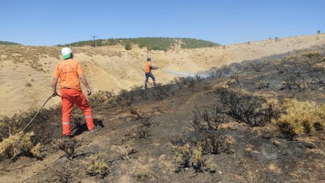 Bingöl’de çıkan örtü yangını söndürüldü