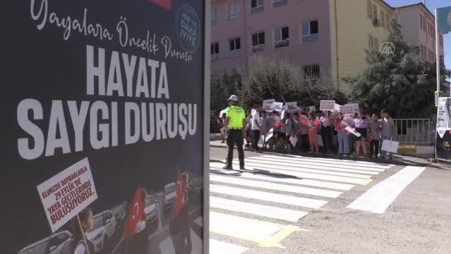Elazığ, Mardin ve Siirt’te öğrenciler yaya geçitlerini “Hayata saygı duruşu” sloganıyla kırmızıya boyadı