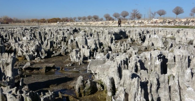 Van Gölü kıyısında en büyük mikrobiyalit oluşumuna rastlandı