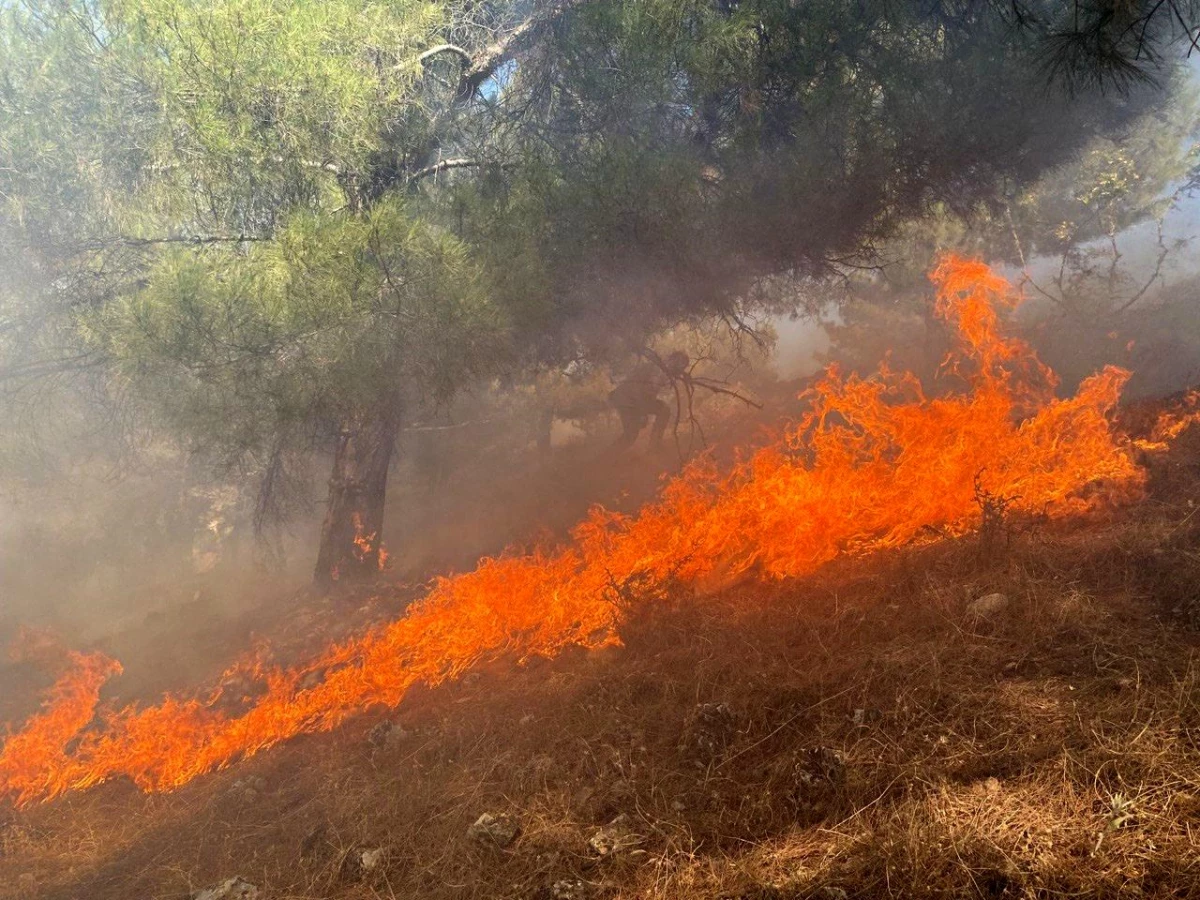 Adıyaman Ali Dağı’nda çıkan yangın 3 saatte kontrol altına alındı