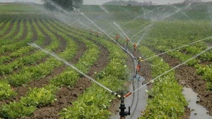 Mardin’deki Tarımsal Sulama Aboneleri Dicle Elektrik’e 5,5 Milyar Lira Borçlu