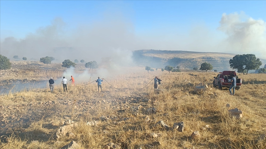 Mardin’de Ormanlık Alanda Çıkan Yangın Kontrol Altına Alındı