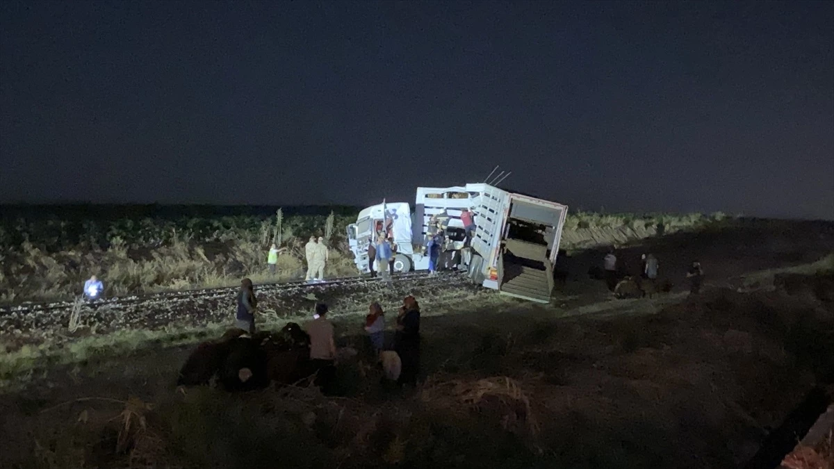 Diyarbakır’da Yük Treni ile Tır Çarpıştı: Sürücü Ağır Yaralandı