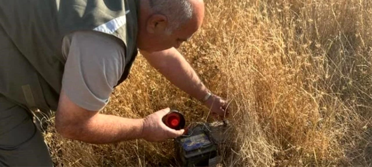 Elazığ’da Kaçak Avcılara Denetim: Bıldırcın Sesi Çıkaran Cihaz ve Aküye El Konuldu