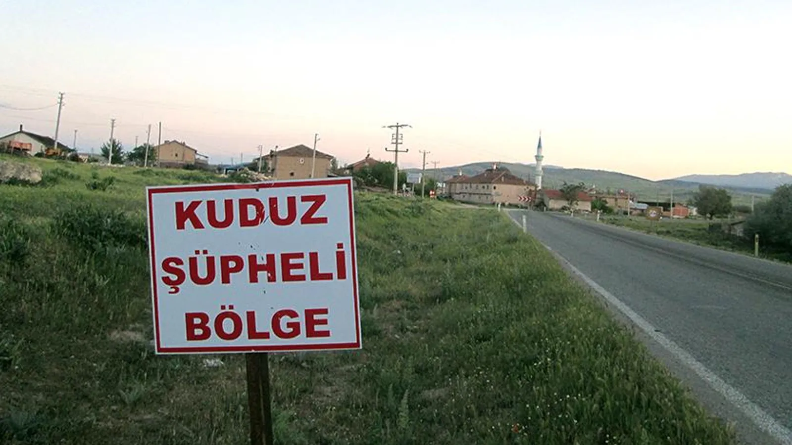 Tunceli’de Kuduz Hastalığıyla Mücadele Kapsamında Tilkilere Hava Aracıyla Aşı Yapılacak