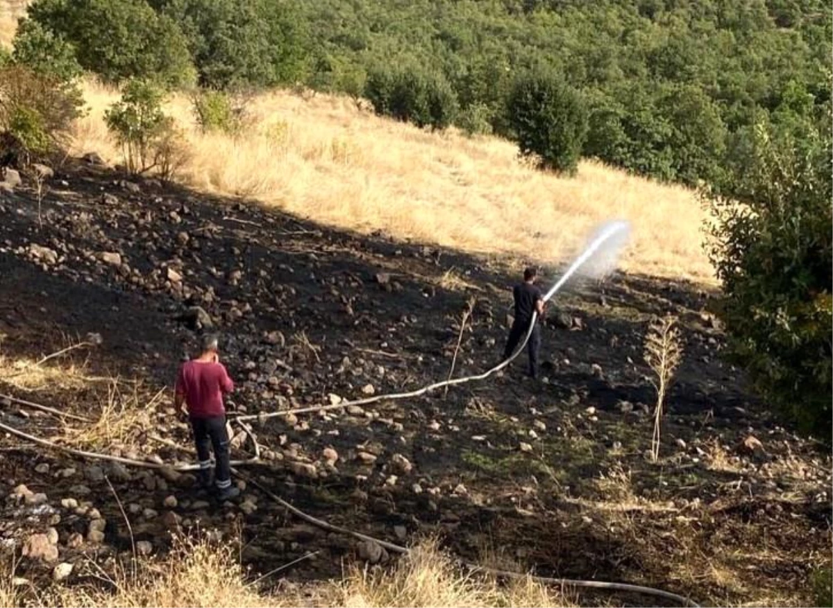 Bingöl’ün Yayladere ilçesinde çıkan yangın söndürüldü