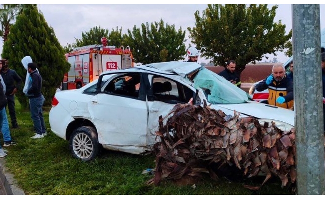 Şanlıurfa’da refüjdeki ağaca çarpan otomobildeki 4 kişi yaralandı