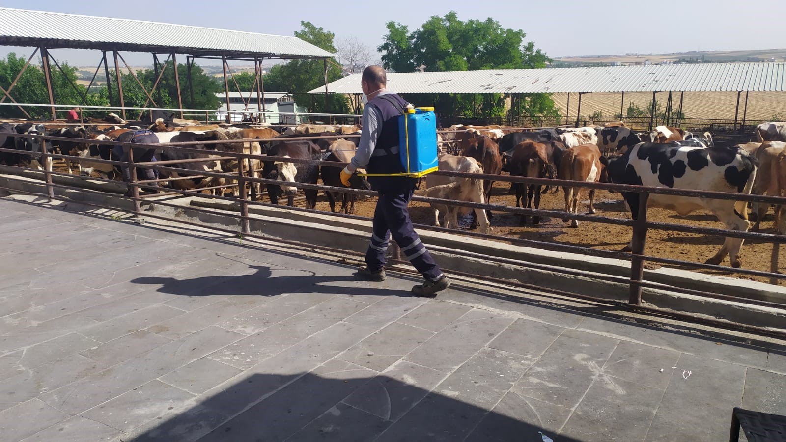 Diyarbakır’da Kurban Kesim Yerlerinde İlaçlama ve Temizlik Seferberliği