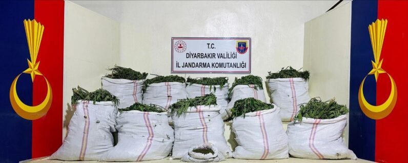 Diyarbakır’da Narko-Terör Operasyonunda 1.229.300 Kök Uyuşturucu Bitkisi Ele Geçirildi