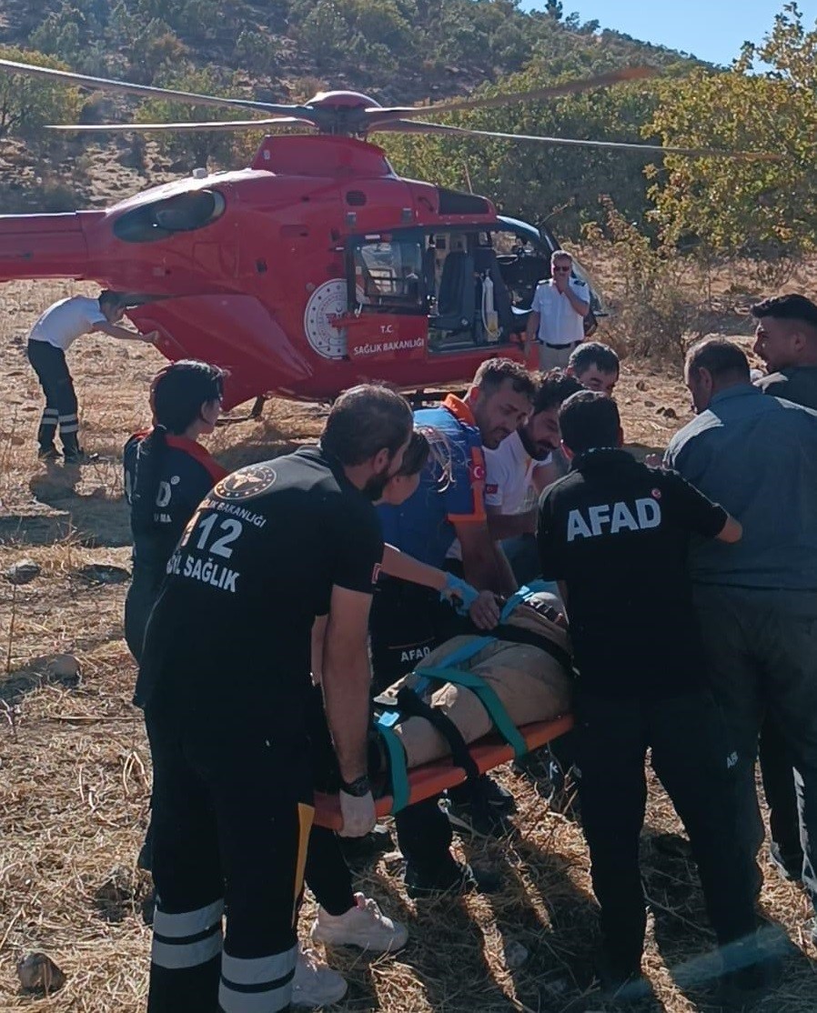 Siirt’te Ağaçtan Düşen Meyve Top