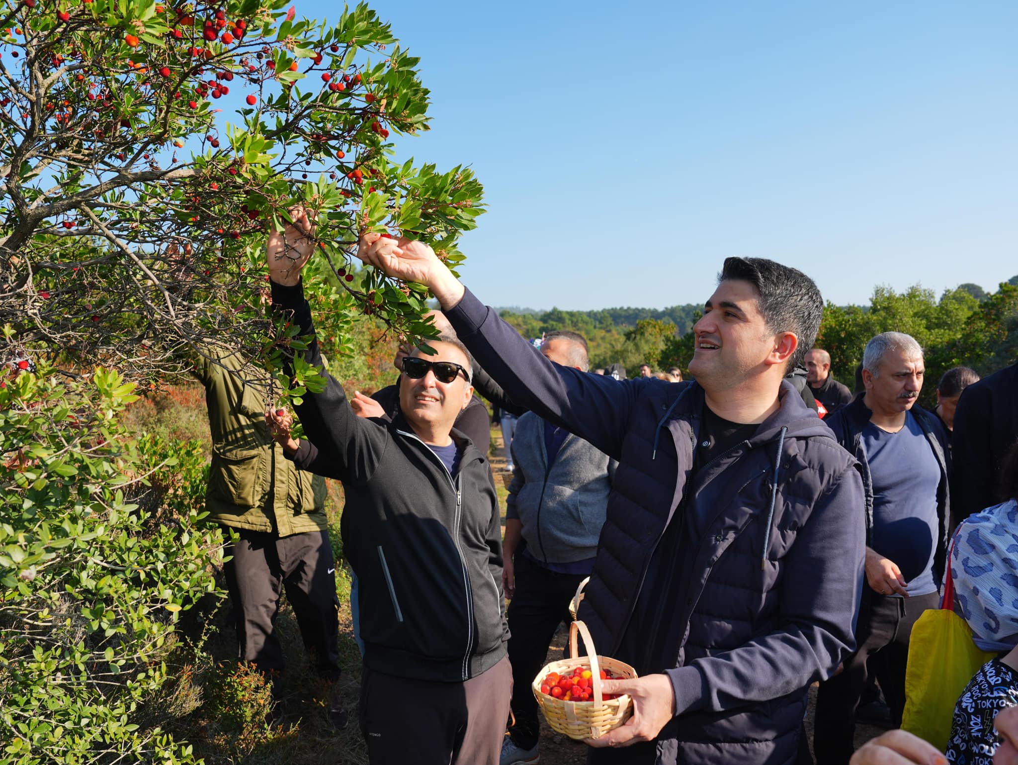 DOĞASEVERLER, 438 METRE YÜKSEKLİĞİNDEKİ KAYIŞDAĞI ORMANI’NDA DAĞ ÇİLEĞİ TOPLADI