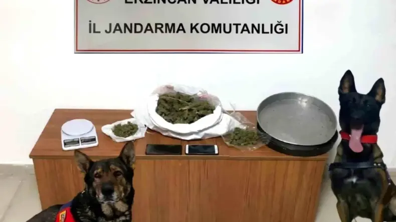 Erzincan Jandarması’ndan 138 Olay Aydınlatıldı