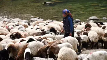 Göçerlerin Zorlu Yolculuğu