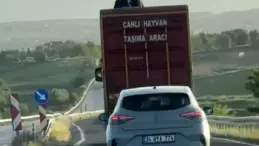 Elazığ-Bingöl yolunda tehlikeli yolculuk