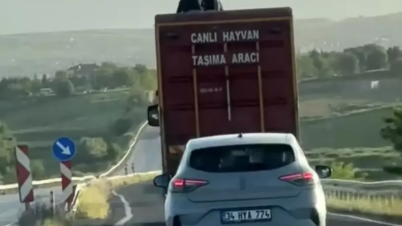 Elazığ-Bingöl yolunda tehlikeli yolculuk