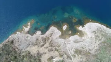 İnci kefalinin Deliçay’daki zorlu göçünü yüzlerce kişi izledi