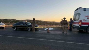 Diyarbakır’da yolun karşısına geçemeye çalışan çifte otomobil çarptı: 1 ölü, 1 yaralı