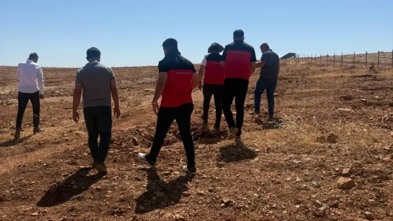 Şanlıurfa’da çekirge istilası