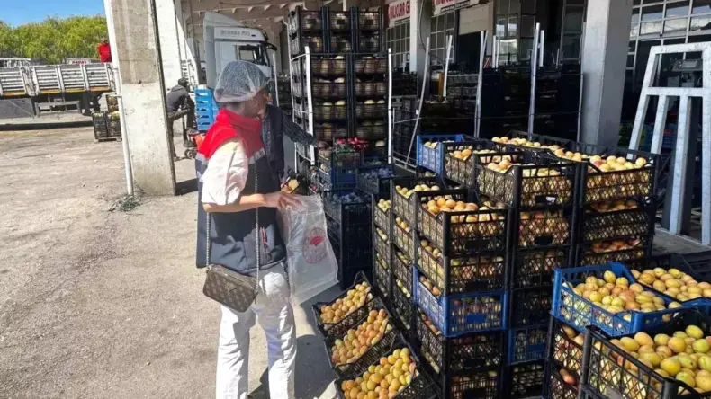 Erzurum’da Gıda Denetimleri: 568 Kontrol Yapıldı