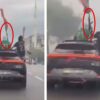 Şampiyonluk kutlamalarında uzun namlulu silahla görüntülenmişti! Diyarbakır Valiliği’nden açıklama